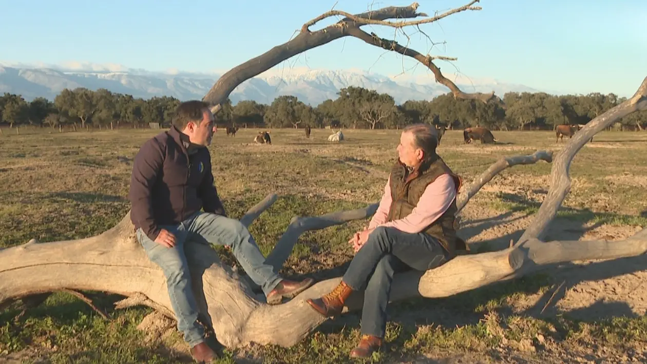 El Burladero de La 8