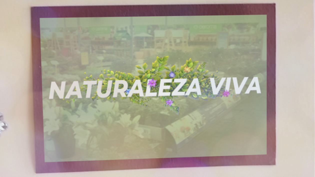 Naturaleza viva