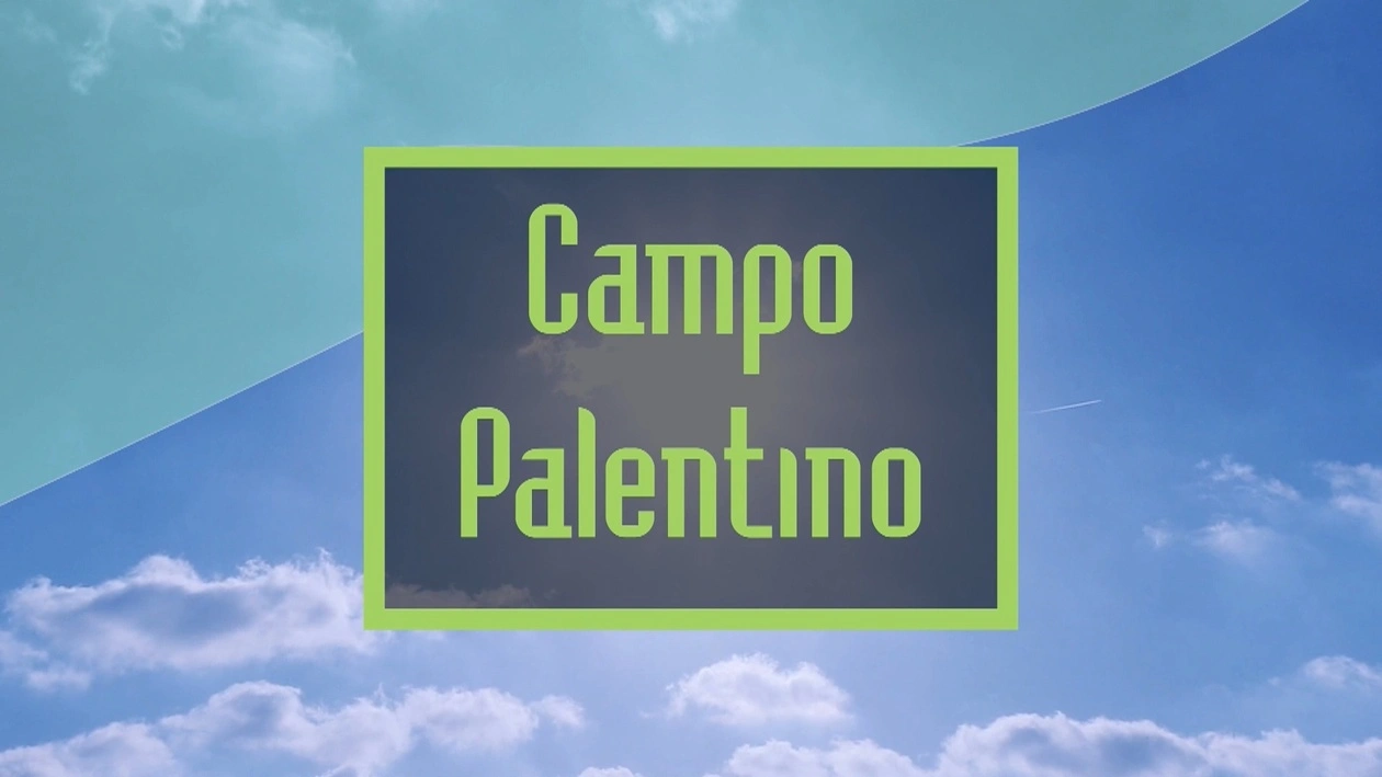 Campo palentino