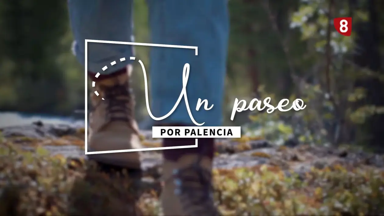 Un paseo por Palencia y provincia