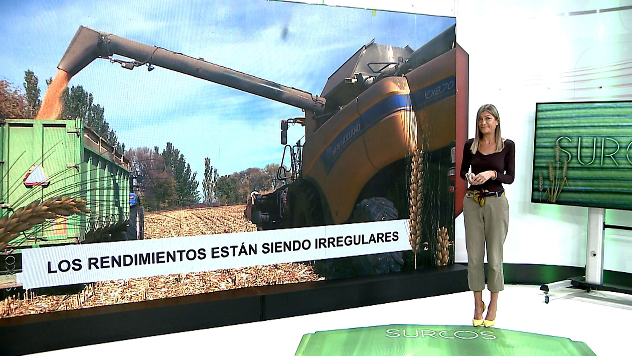 T17/E8: La cosecha de maíz avanza a buen ritmo en Castilla y León, sobre todo en la provincia de León