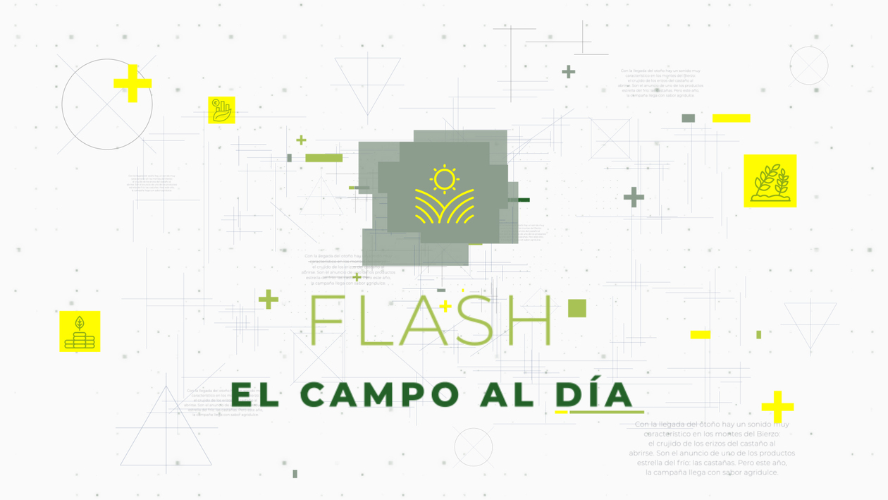 Flash El campo al día