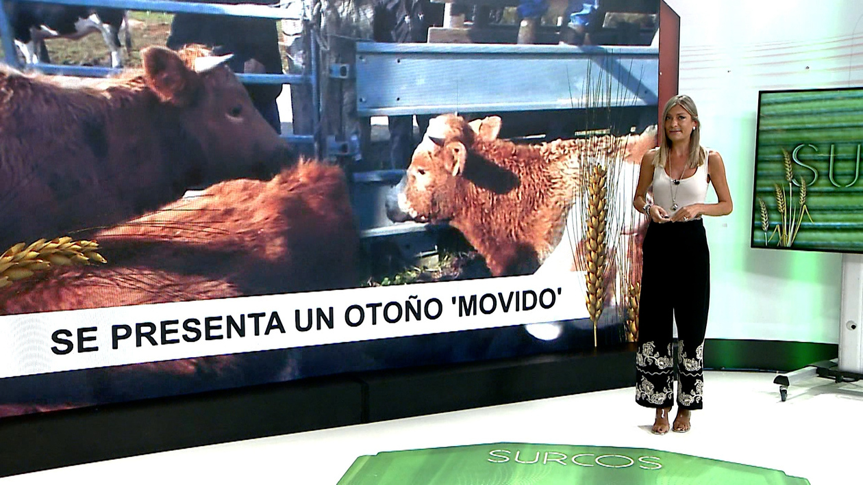 T17/E1: Balance de cómo ha sido el verano para el sector agrario y previsión de cómo será el otoño