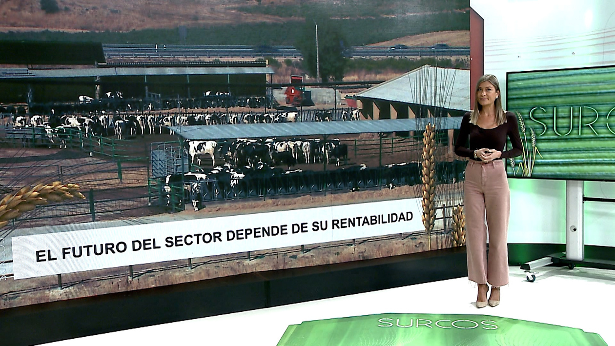 T17/E11: Desciende el número de ganaderos de vacuno y el volumen de leche que llega al mercado