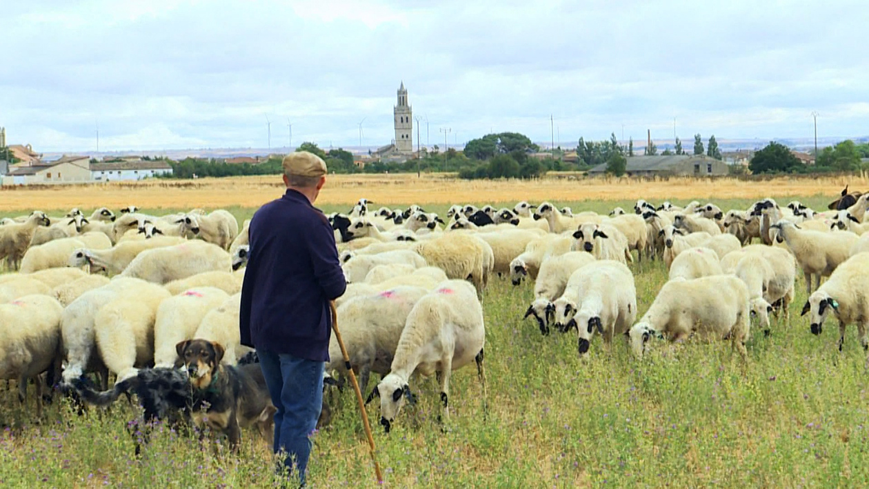 T2/E5: Conocemos a los Queridísimos Vecinos de Riza, Adanero, Peñaranda de Bracamonte y Babilafuente