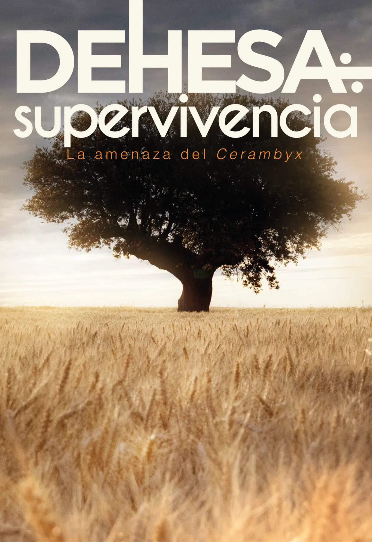Dehesa: supervivencia
