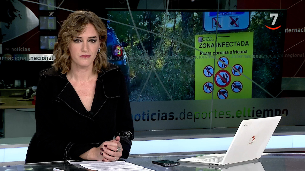 CyLTV Noticias 14:30 horas (29/11/2025)