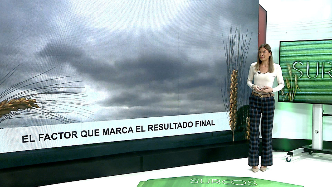 T17/E20: El exceso de lluvias obliga a cambiar el día a día del agricultor