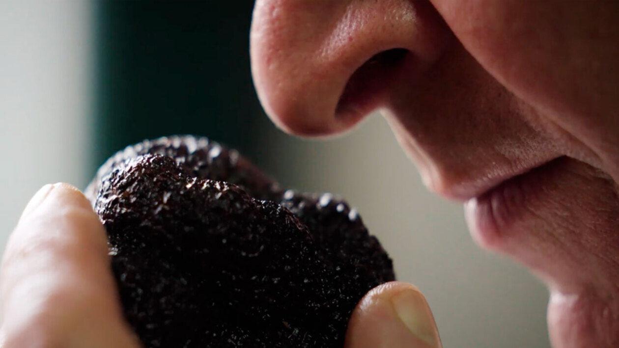 Las hijas del trueno