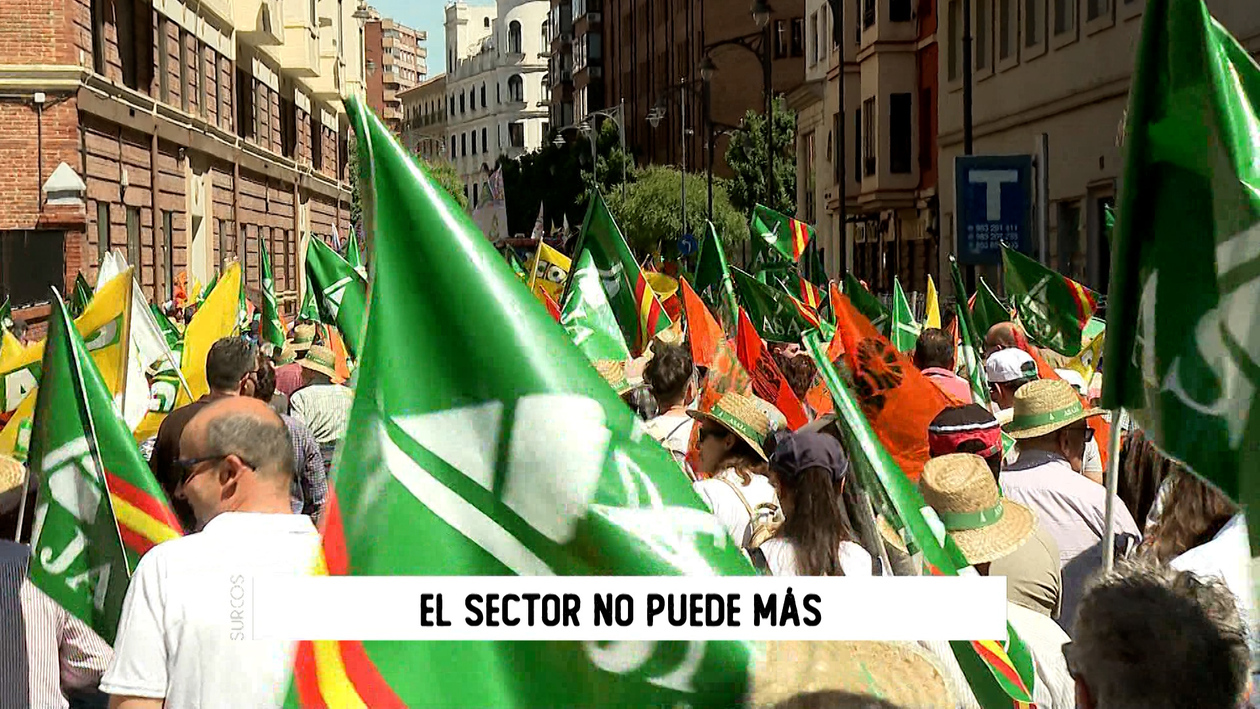 T17/E34: El sector no puede más