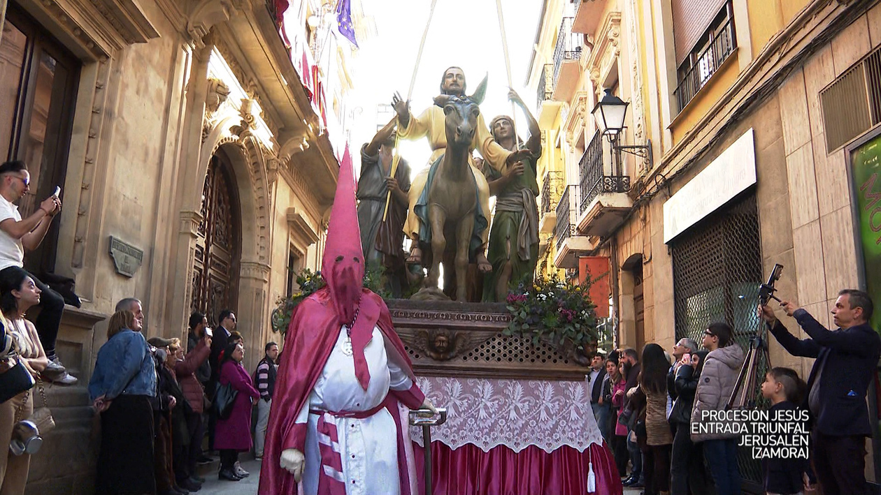 Procesión de Jesús entrada triunfal en Jerusalén (Zamora)