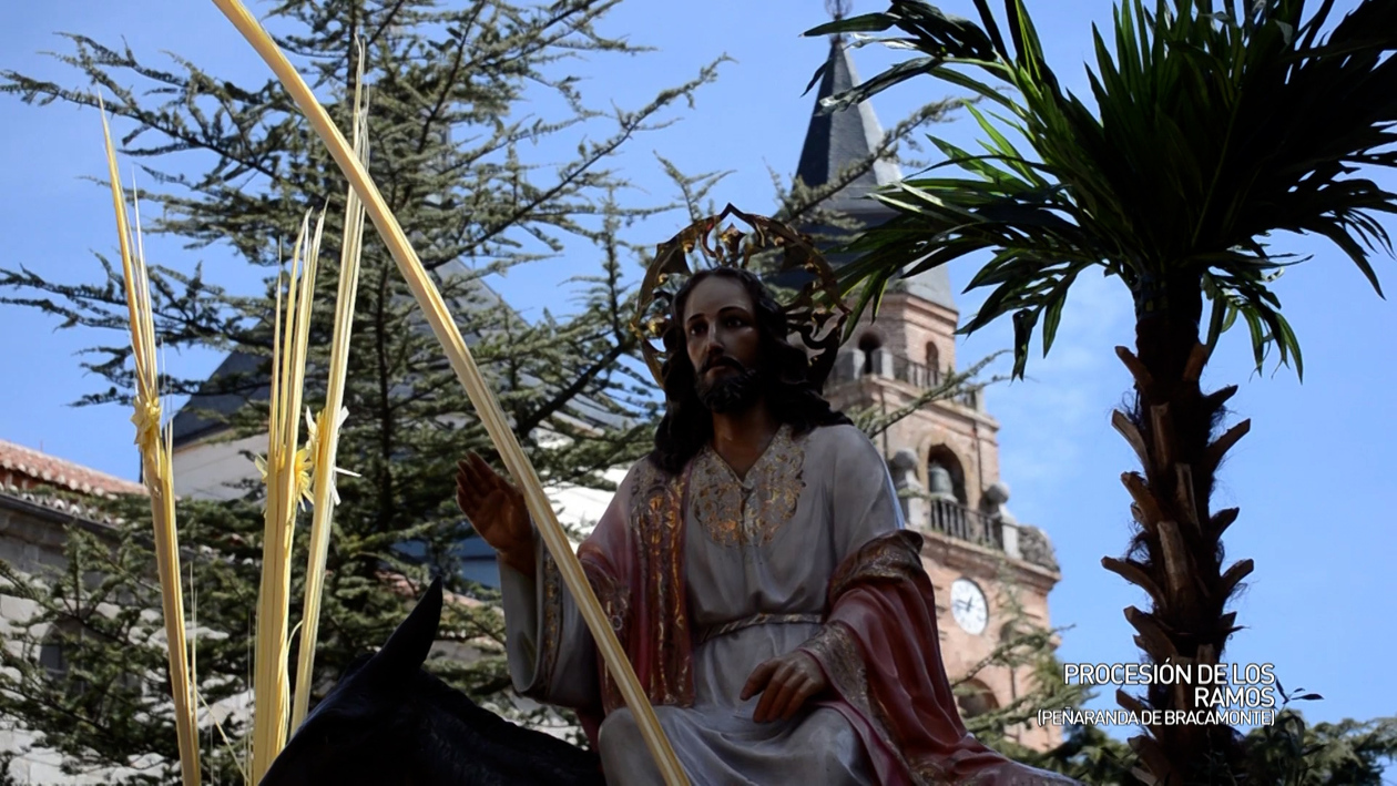 La procesión de La Borriquilla, cofradía Jesús Amigo de los Niños (Peñaranda de Bracamonte)