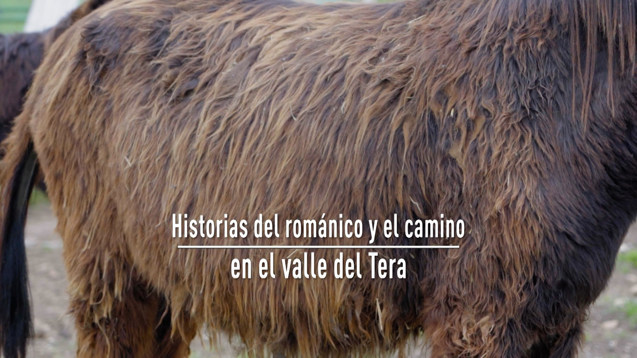 T13/E37: Historias del románico y el camino en el valle del Tera