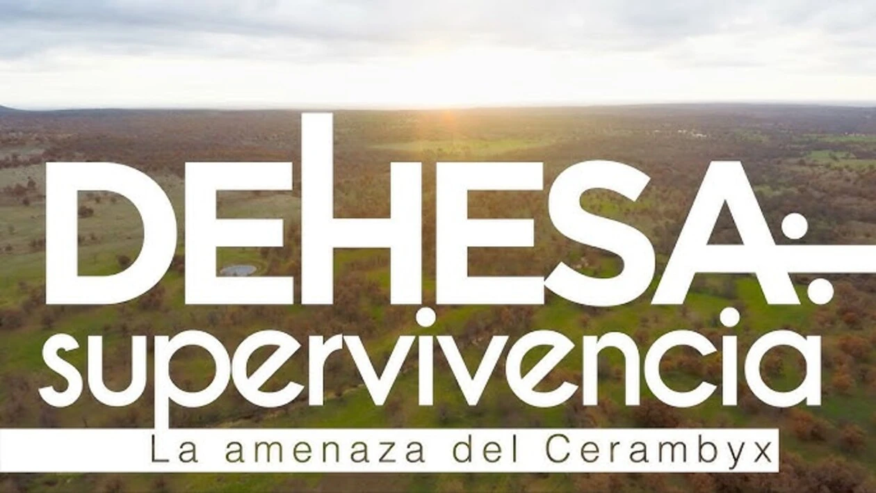 Dehesa: supervivencia