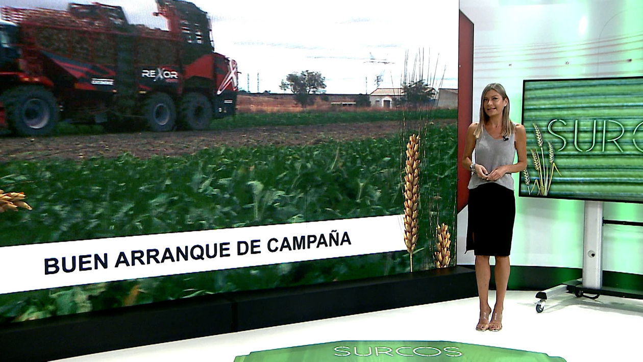 T17/E7: La campaña de arranque de remolacha comienza en Castilla y León