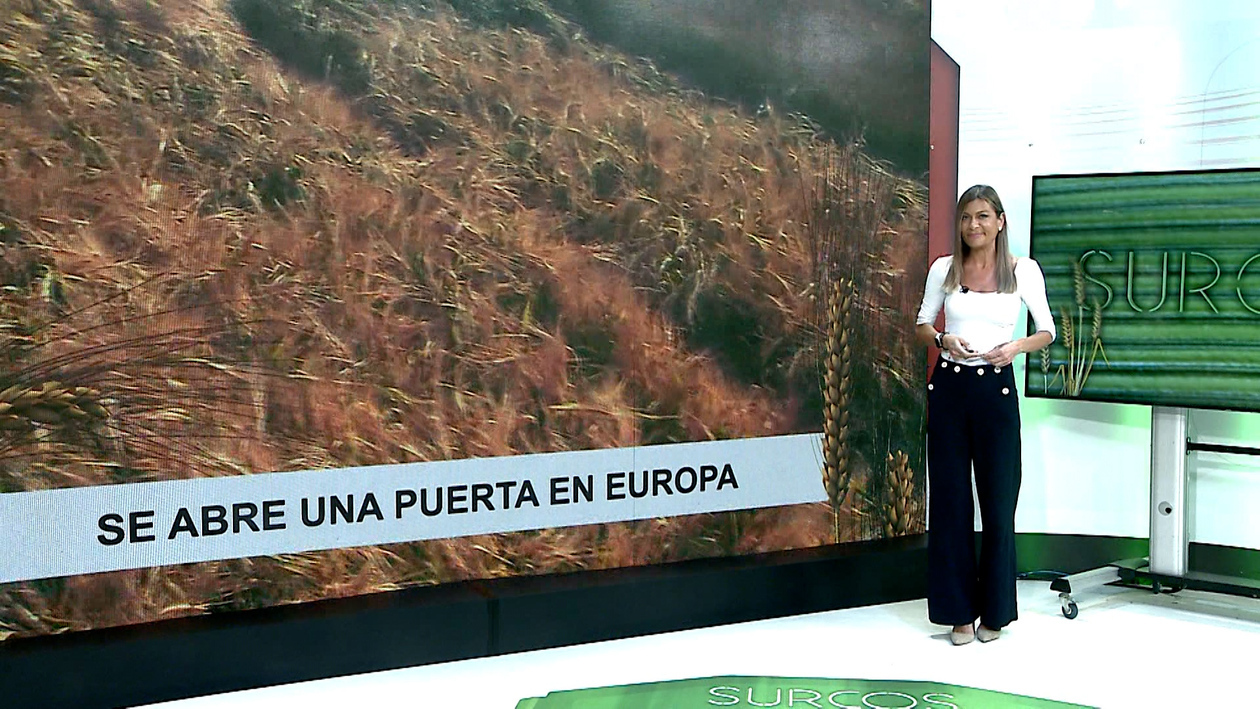 T17/E28: Europa abre la puerta a la investigación en torno a la semilla