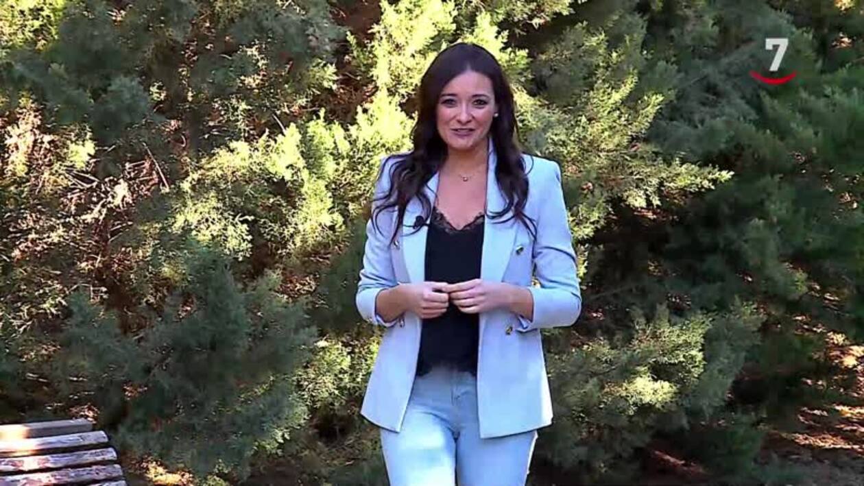 T17/E5: Una empresa de producción de aceite en Ataquines (Valladolid) y una peluquería y un taller metalúrgico en Paradinas de San Juan (Salamanca)