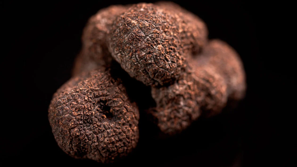 Las hijas del trueno