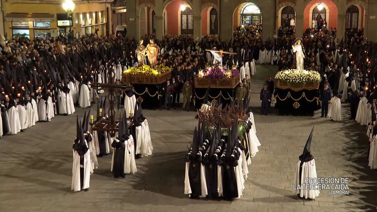 Procesión de la Tercera Caída (Zamora)