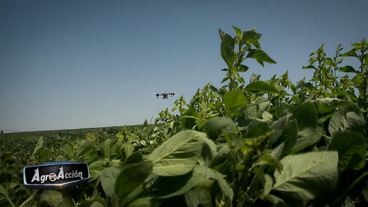 T9/E1: Los drones de Cultivdron sobrevuelan España y el nuevo autoguiado de la marca CHCNAV