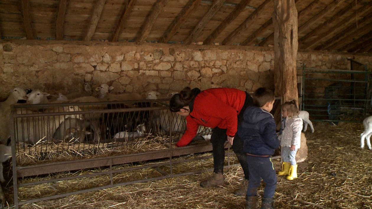 De Jaén a Burgos para seguir siendo ganaderos