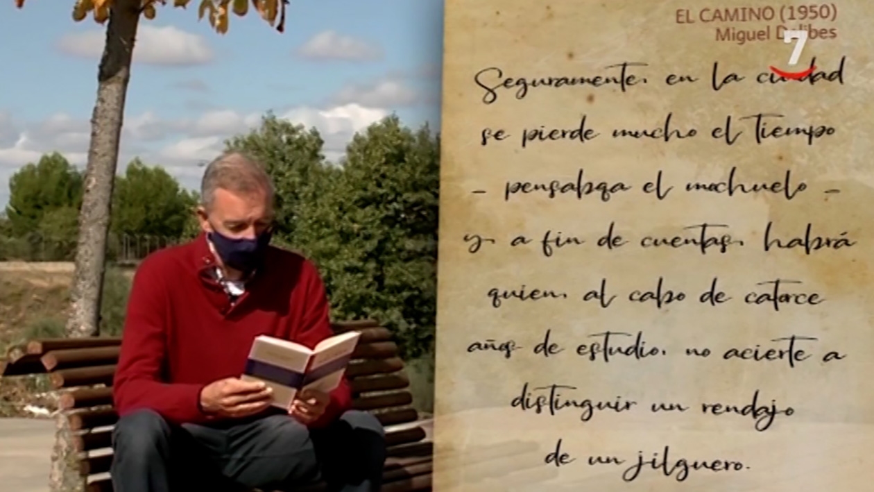Un recorrido por la reivindicación y protección de la lengua española