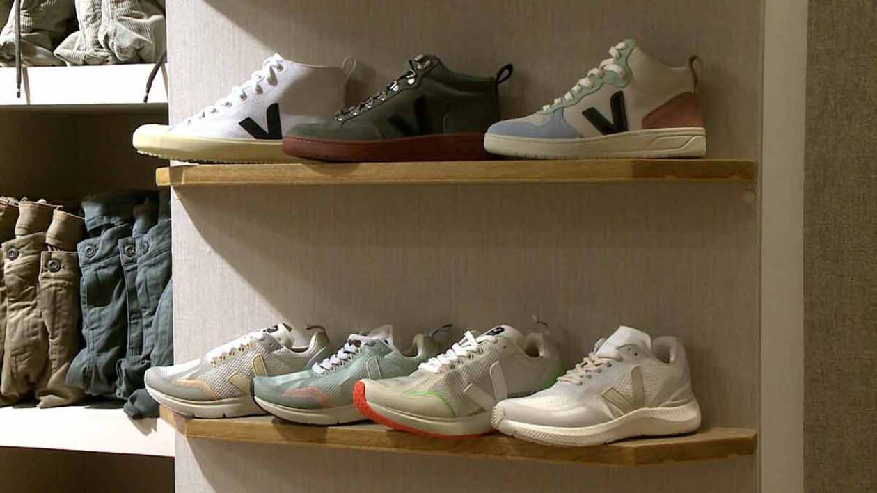 La importancia de registrar una marca