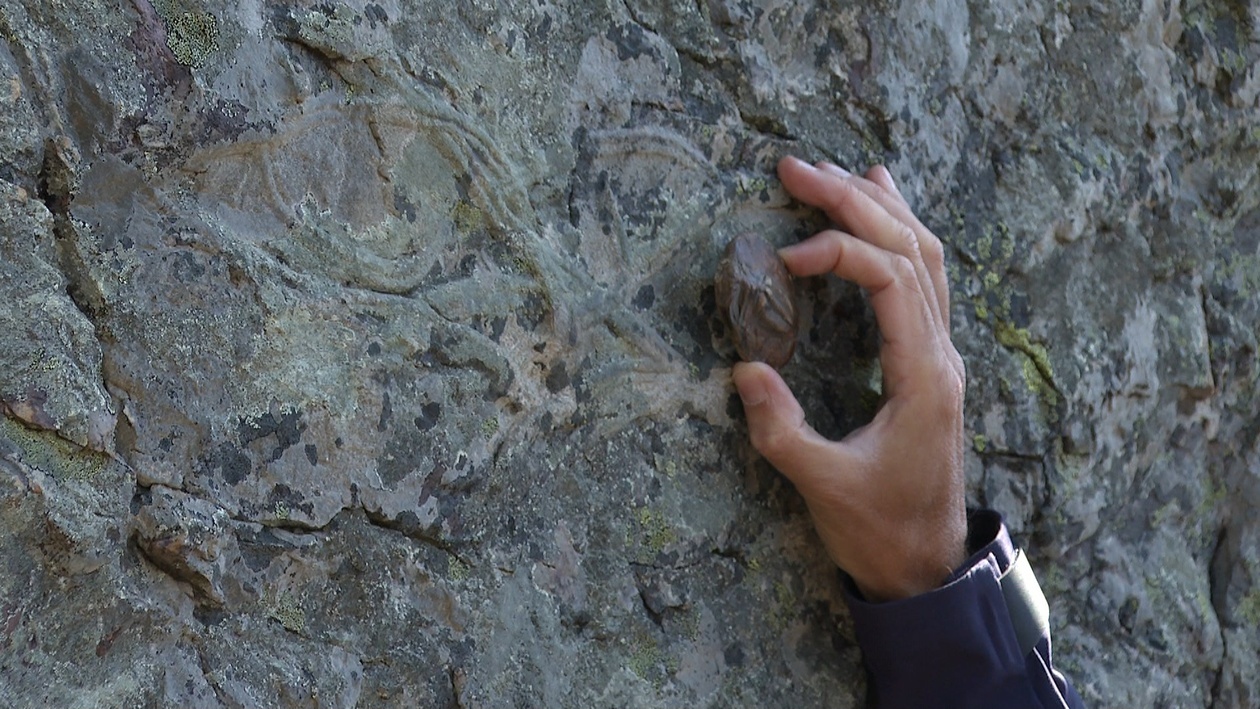 Huellas con más de 250 millones de años