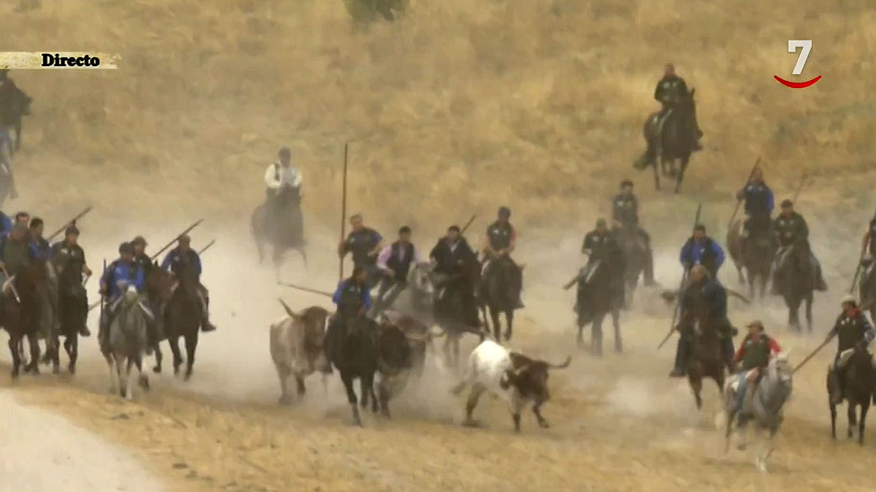 Quinto encierro de Cuéllar (29/08/2024)
