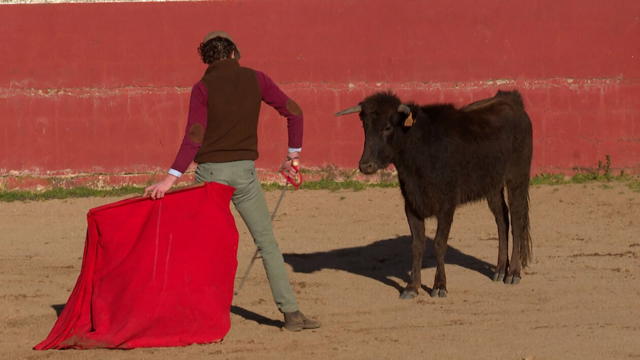 De la escuela a la plaza de toros