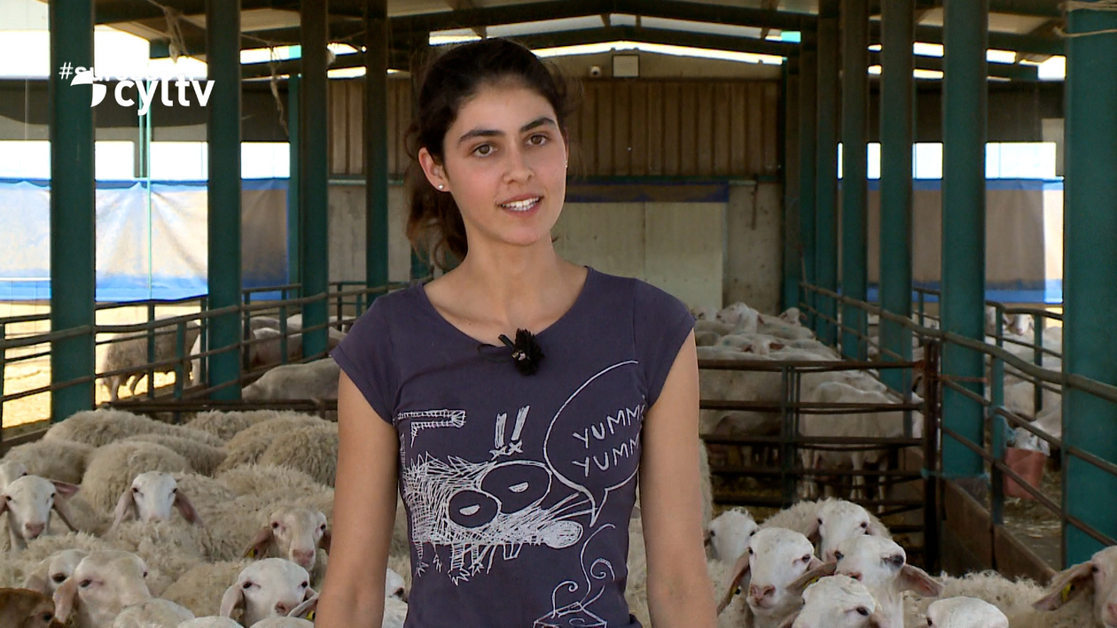Vocación y relevo generacional a los 23 años: Desde pequeñita supe que quería quedarme con las ovejas