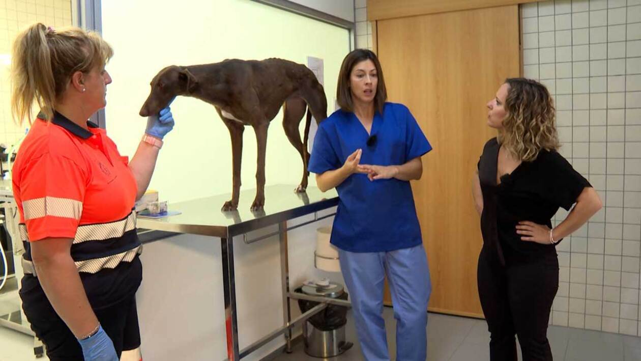 Un centro de segundas oportunidades