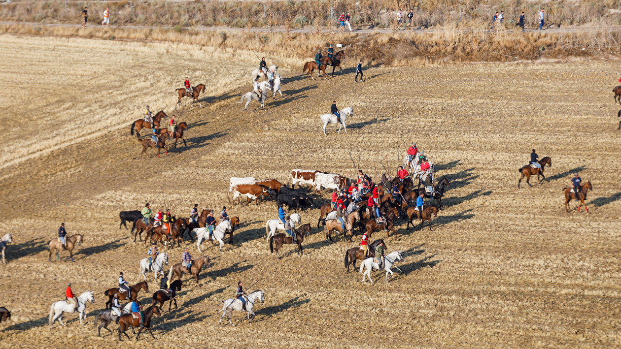 CyLTV retransmitirá los encierros de Cuéllar en directo
