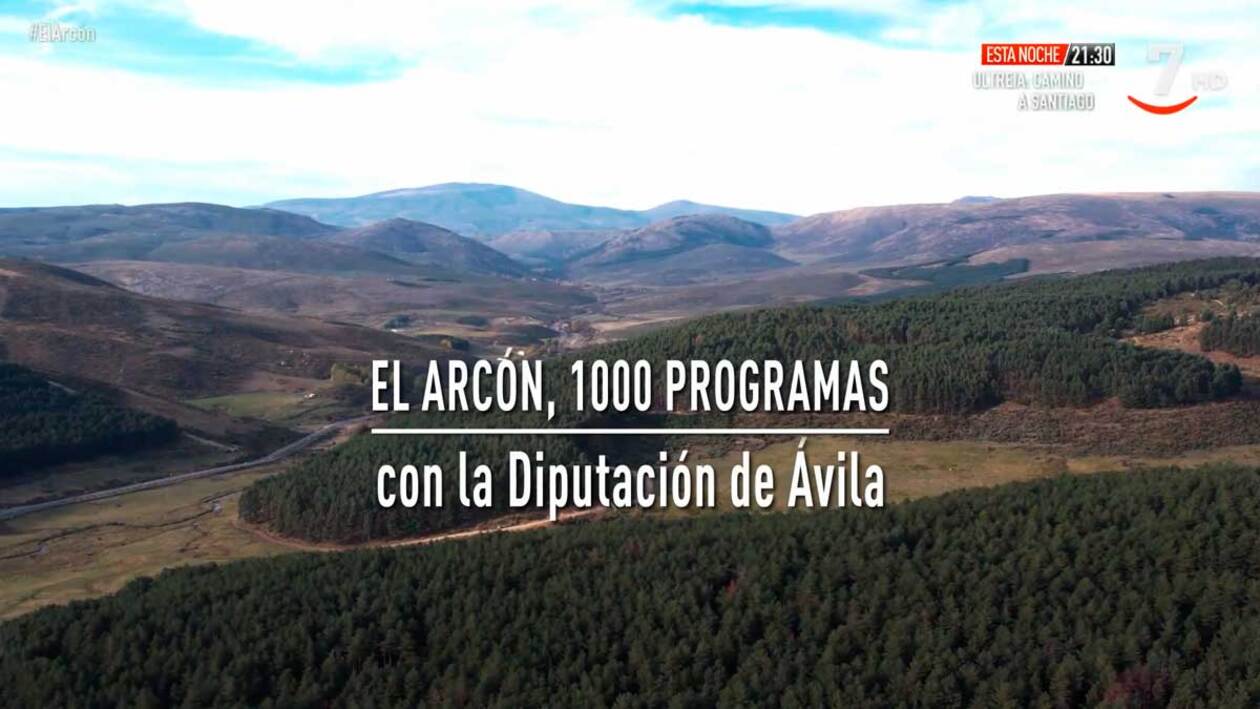La Diputación de Ávila