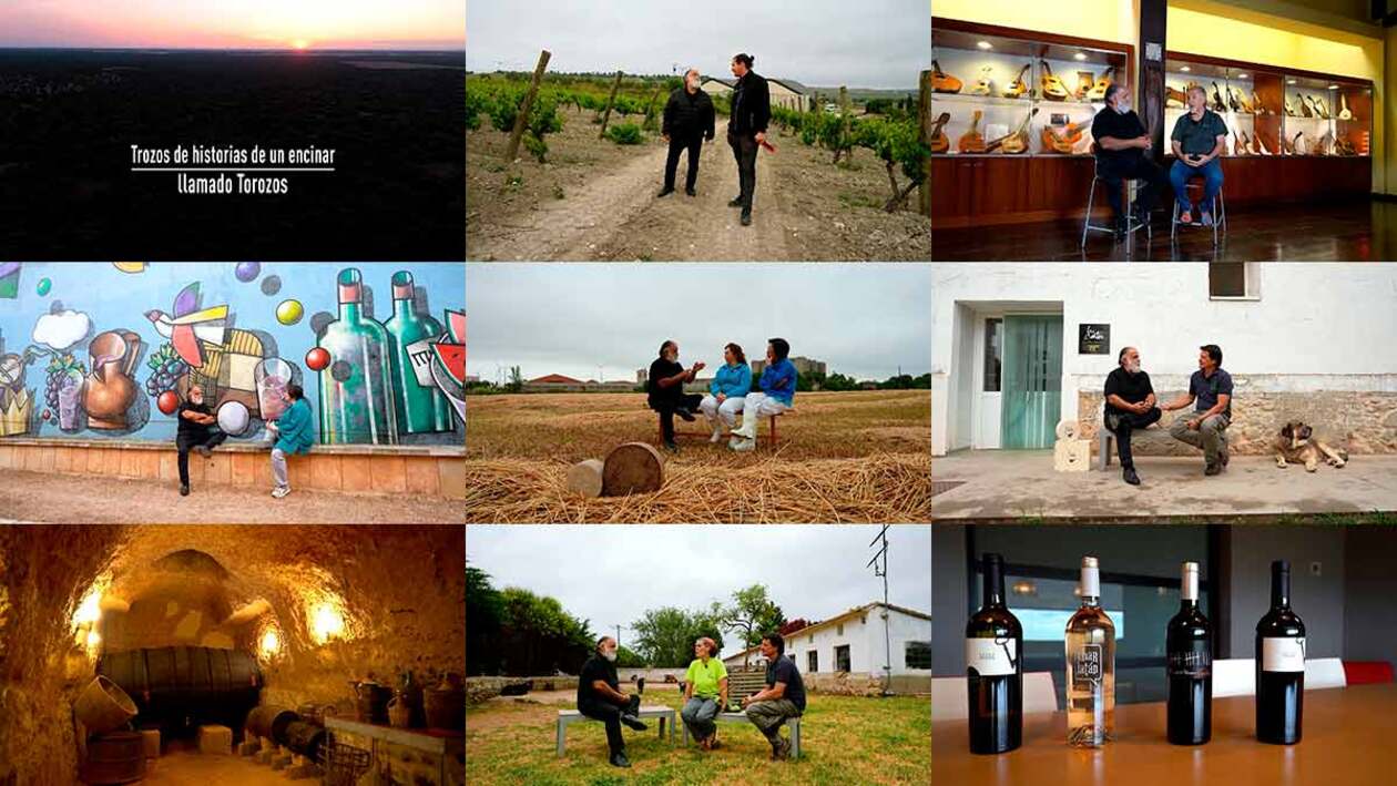 T12/E40: Trozos de historias de un encinar llamado Torozos