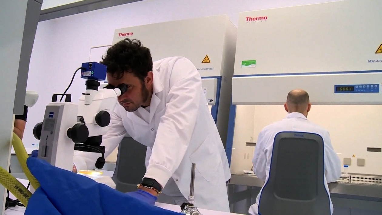 Resaver: el fondo europeo para blindar la jubilación de los científicos