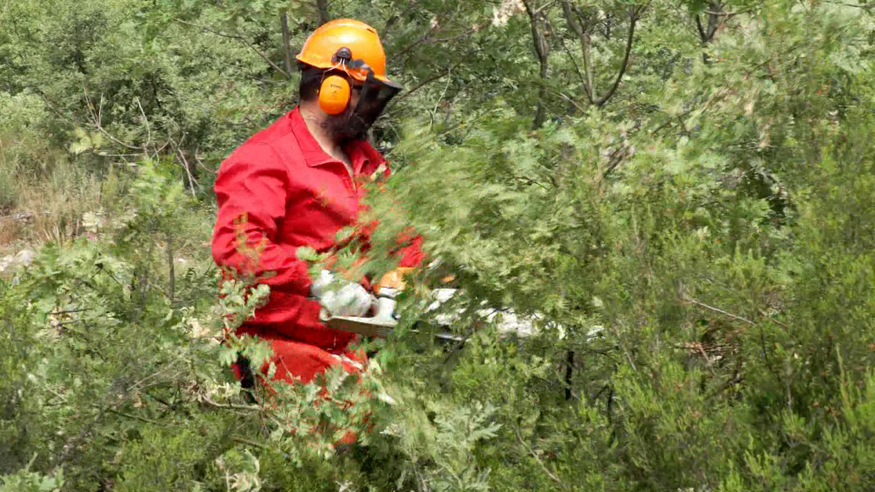 La AEMET afina la puntería contra los incendios: el nuevo índice de peligro reduce su resolución a un kilómetro