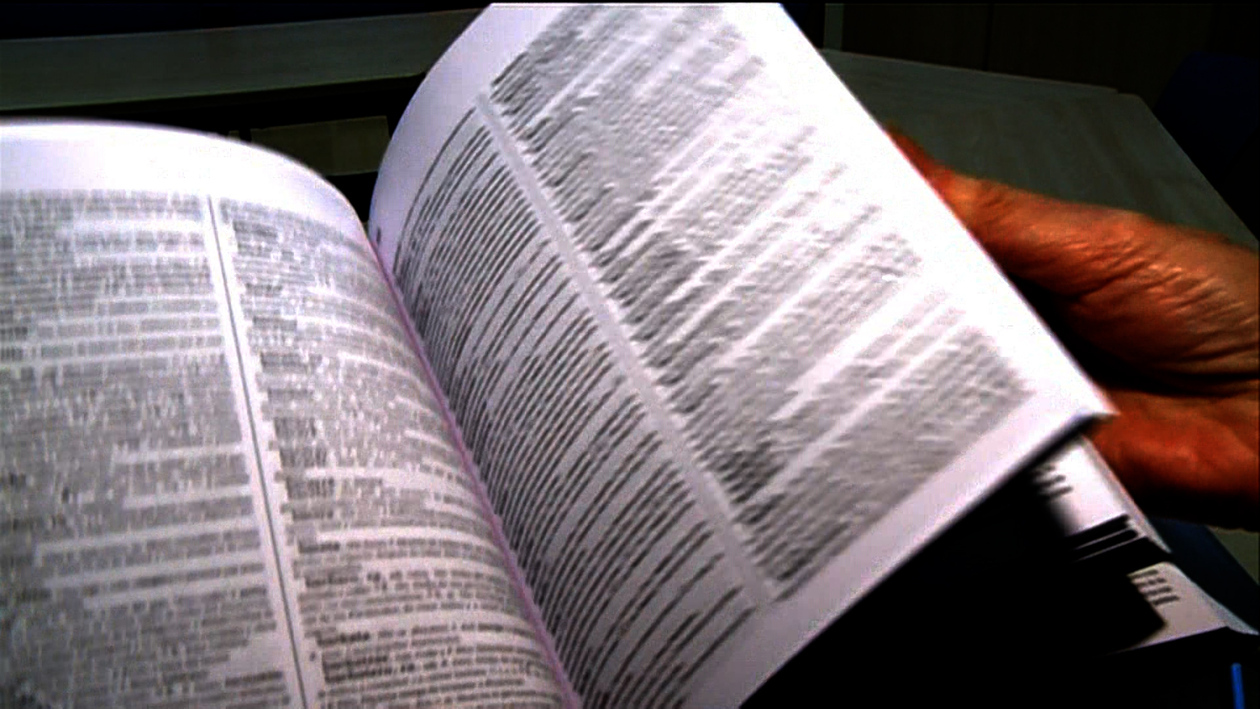 La RAE incorpora 330 nuevas palabras como 'streaming' o 'millenial'