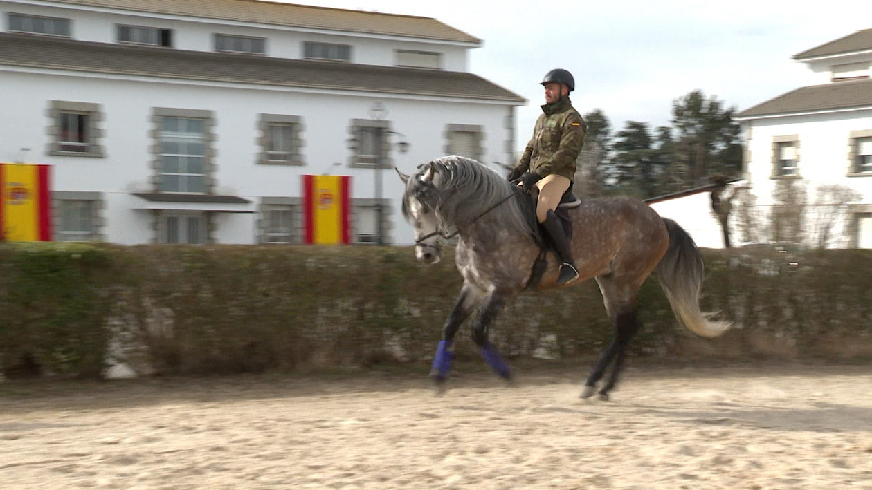 De la monta natural a los centros de inseminación: así se preserva la genética de los caballos