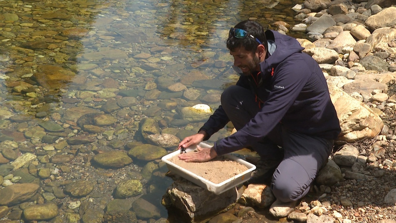 ¿Conoces este extraño fenómeno natural?