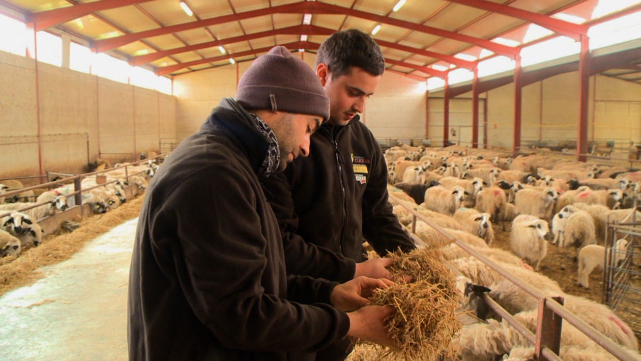 El programa 'Cultiva' impulsa el relevo generacional en el campo de Burgos