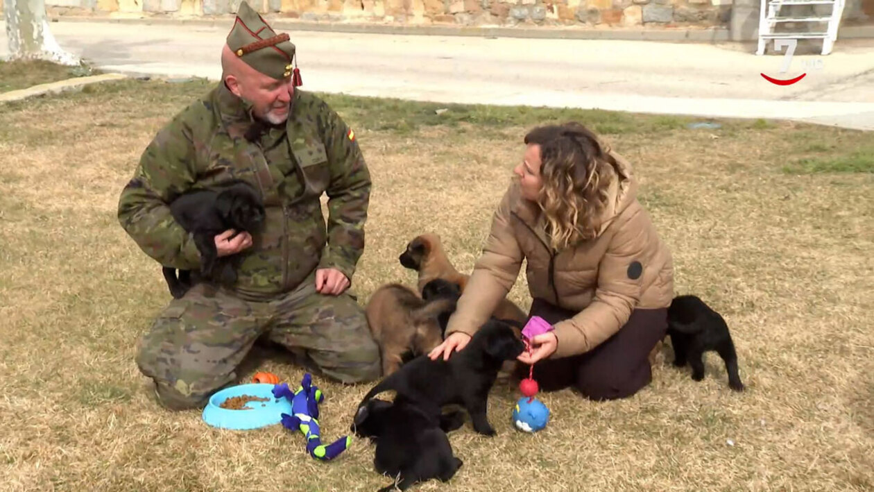 Los peluches de hoy, los defensores de mañana