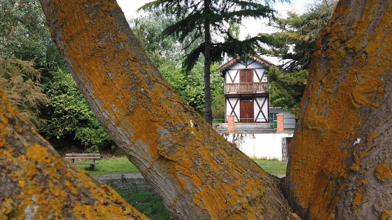 Valorio, el bosque de oro de Zamora