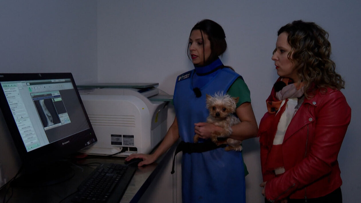 De paseo al quirófano