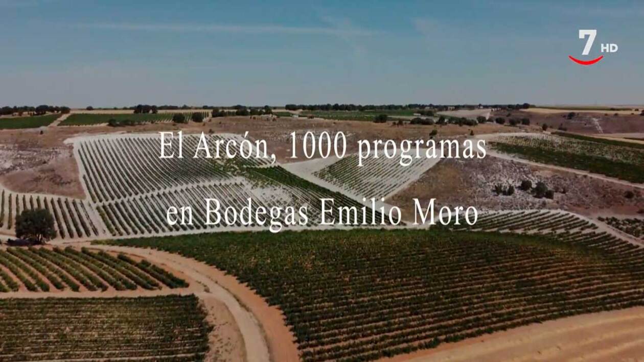 Bodegas Emilio Moro