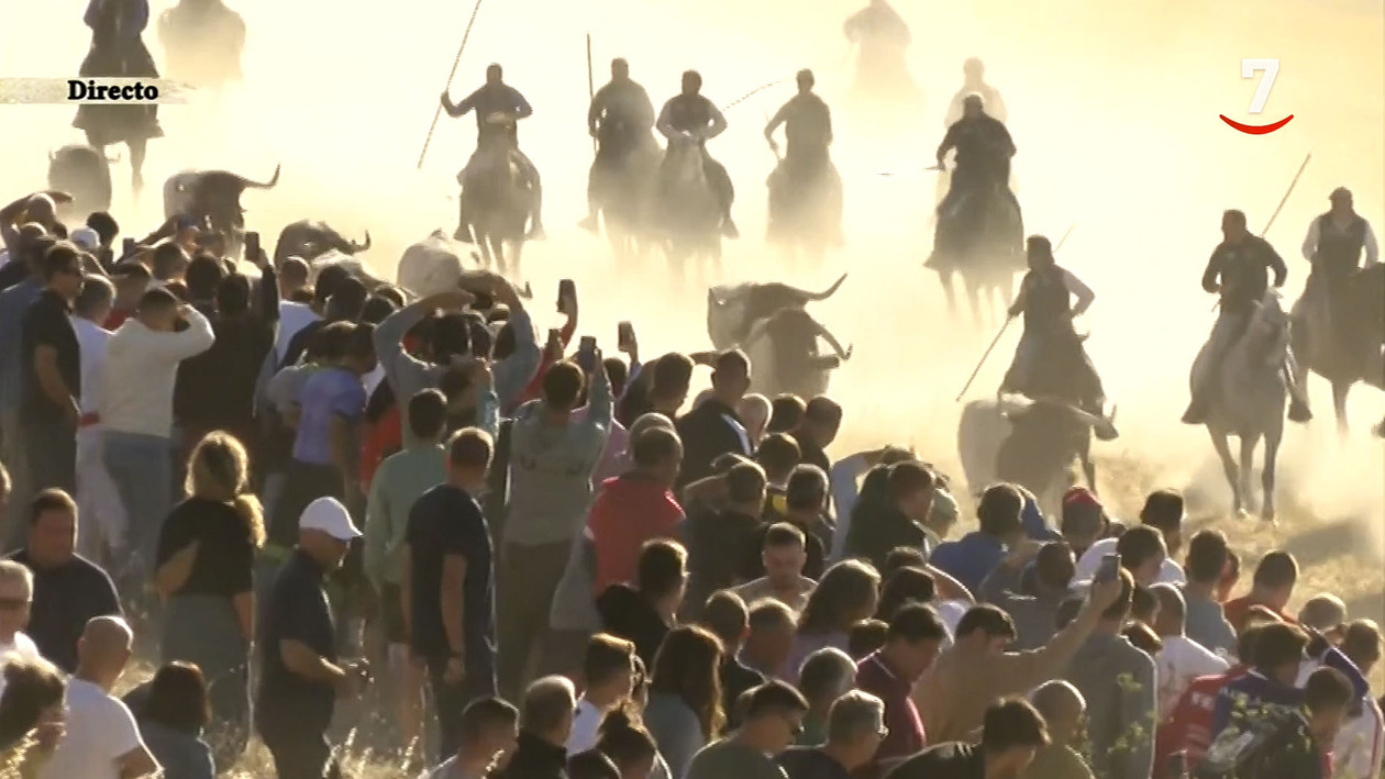 Segundo encierro de Cuéllar (26/08/2024)