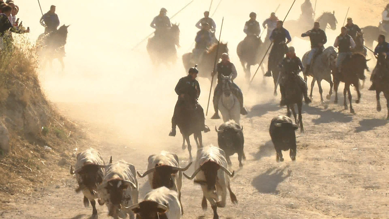 Tercer encierro de Cuéllar (27/08/2024)