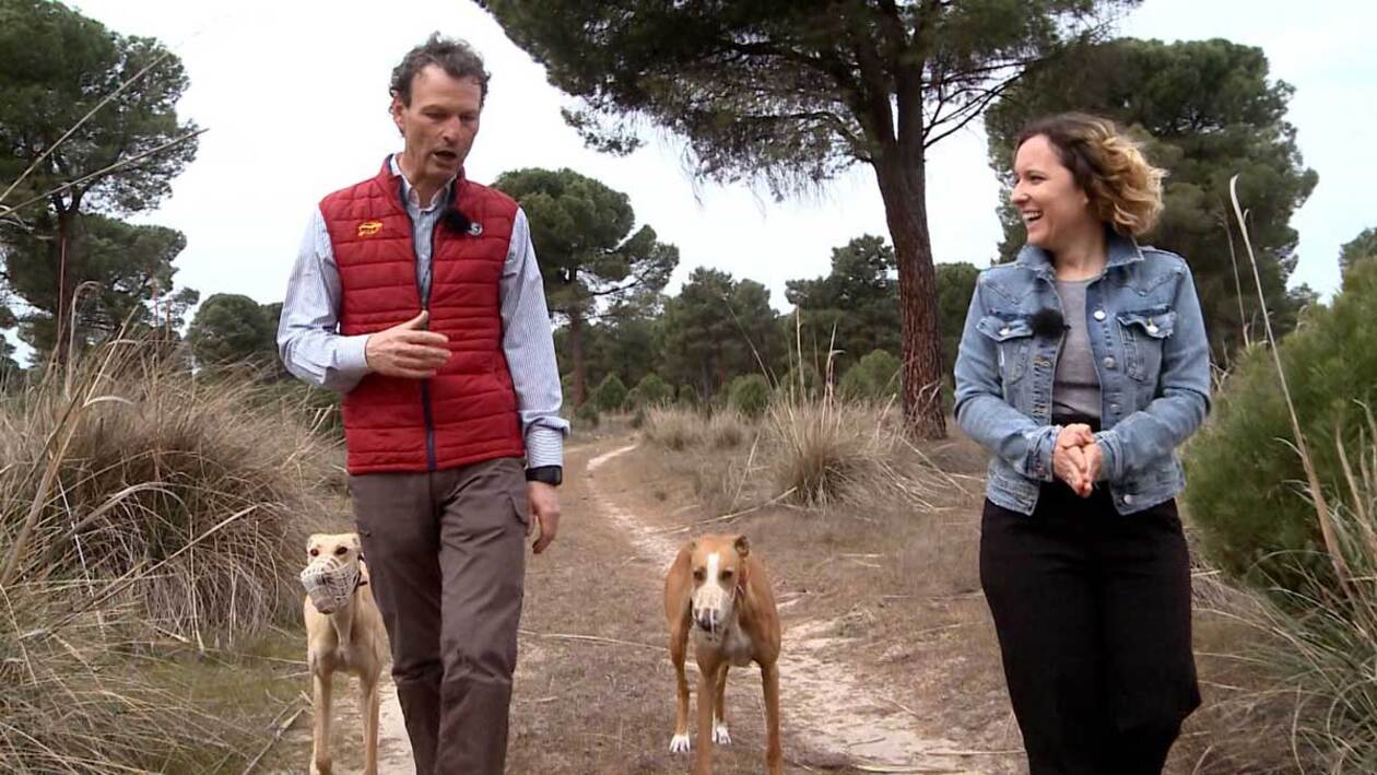 Disciplina de atletas