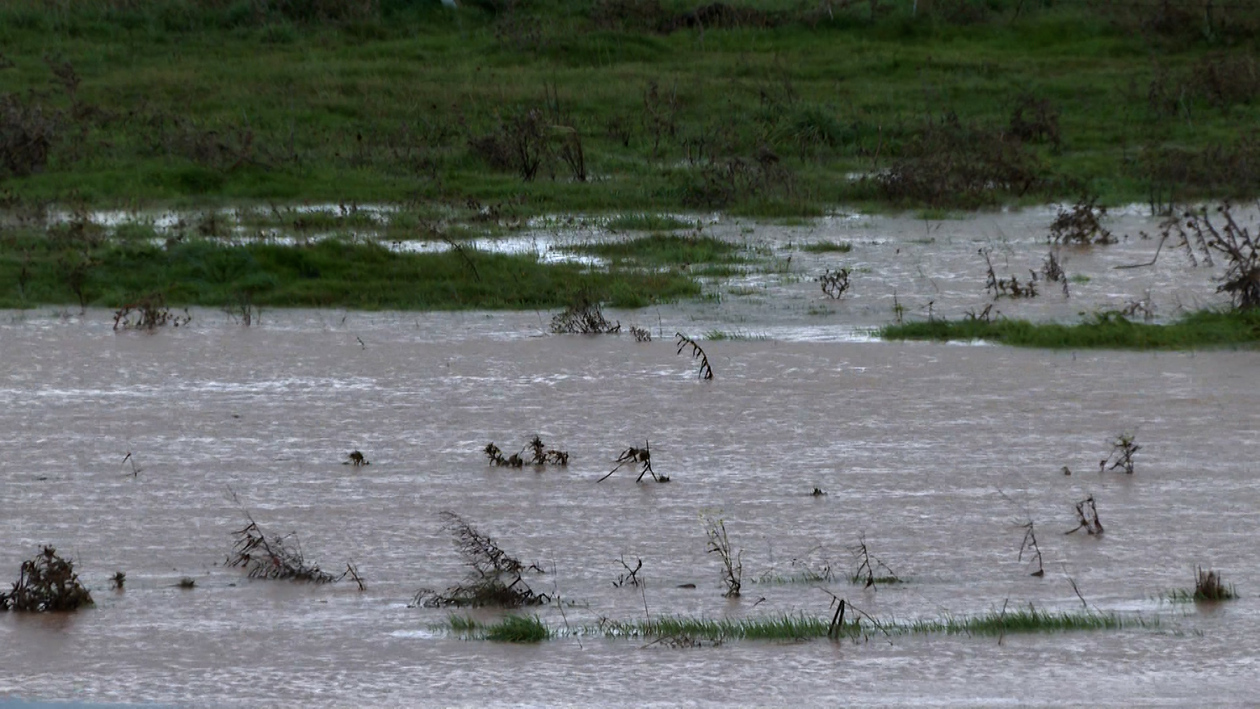 Los seguros agrarios, la tabla de salvación ante los cultivos anegados