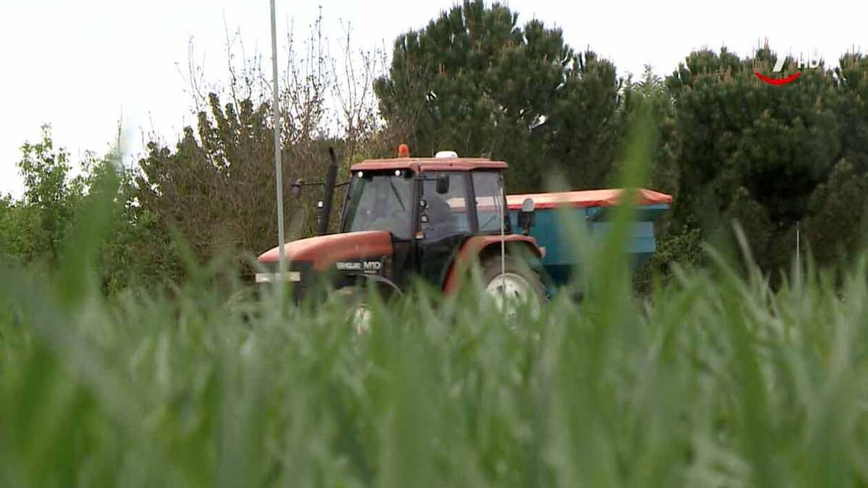 El campo produce trigo, cebada, remolacha y… ¡créditos de carbono!